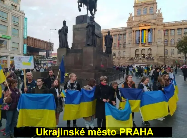 Ukrajinská okupace