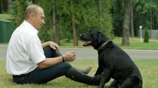 Moskva je v &scaron;oku: uboh&yacute; Putin nominoval m&iacute;sto &Scaron;ojgua sv&eacute;ho labradora...
