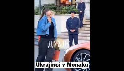 VIDEO: I Češi vědí, komu mají pomáhat finančně