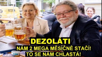 Neskutečn&aacute; drzost vyžran&eacute;ho prasete Vondry (ODS): seberte důchodcům, j&aacute; m&aacute;m měs&iacute;čně jen necel&yacute;ch půl milionu !