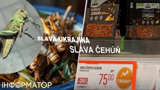 Navždy spojení s Ukrajinou: Ukrajinci kobylky a sarančata, Češi červy a cvrčky. A pro západ jsme prasata a východní odpad