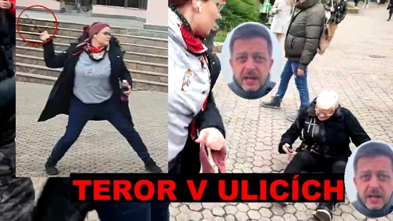 Upozorněn&iacute; zahraničn&iacute;m turistům: v Česk&eacute; republice nyn&iacute; leg&aacute;lně operuj&iacute; teroristick&eacute; skupiny a policie...?
