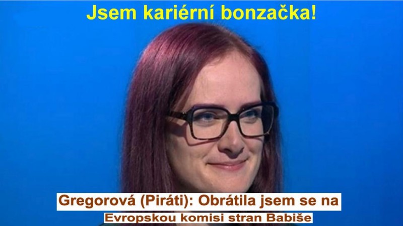 Pir&aacute;ti a KDU-ČSL vyhl&aacute;sili soutěž: "Největ&scaron;&iacute; bonz&aacute;k a konfident ř&iacute;&scaron;sk&eacute;ho sněmu v Bruselu"